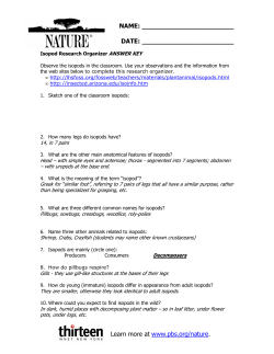 Isopod Research Organizer ANSWER KEY