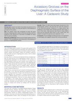 Accessory Grooves on the Diaphragmatic Surface of the Liver