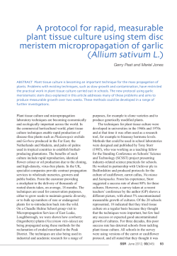 A protocol for rapid, measurable plant tissue culture using stem disc