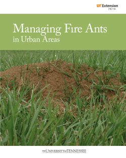 Managing Fire Ants in Urban Areas