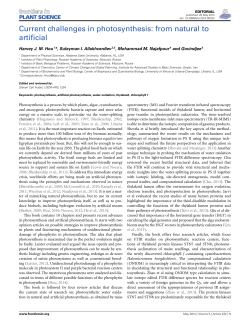 Current challenges in photosynthesis: from natural to