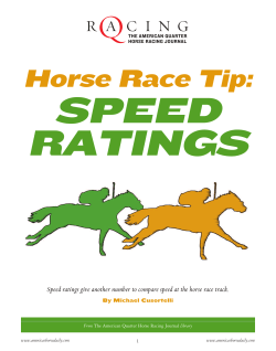 Horse Race Tip: