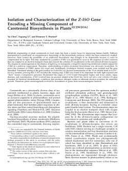 Isolation and Characterization of the Z-ISO Gene