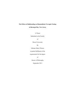 The Effects of Bulkheading on Diamondback Terrapin Nesting in