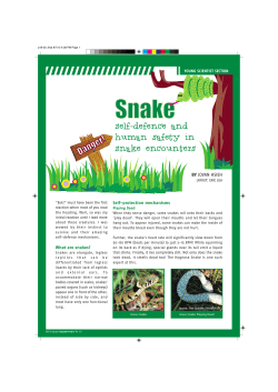 self-defence and human safety in snake encounters
