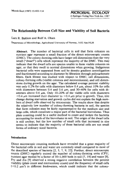 The relationship between cell size and viability of soil bacteria