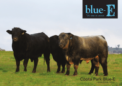 DOWNLOAD OUR BROCHURE &ndash; pdf 2.5mb - Coota Park Blue-E