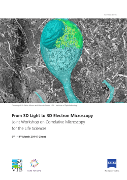 From 3D Light to 3D Electron Microscopy Joint Workshop on