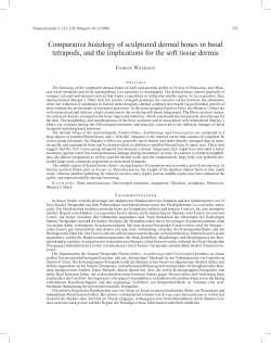 Comparative histology of sculptured dermal bones