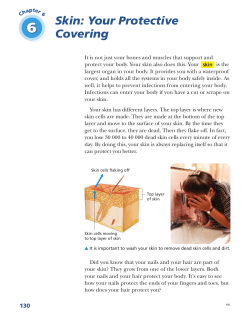 Skin: Your Protective Covering