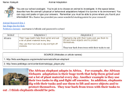 The African elephant adapts in Africa. For example, the African