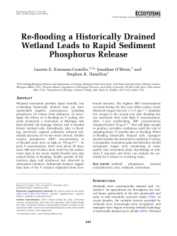 Re-flooding a Historically Drained Wetland Leads to