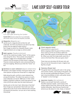 Lake loop self-guided tour - VanDusen Botanical Garden