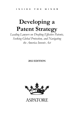 Important Considerations for Patent Strategies