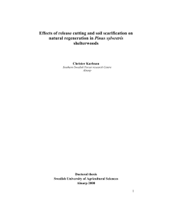 Effects of release cutting and soil scarification on natural