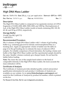 High DNA Mass Ladder - Thermo Fisher Scientific