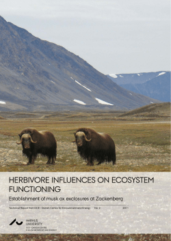 Plant-herbivore interactions