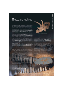 Mesozoic reptiles