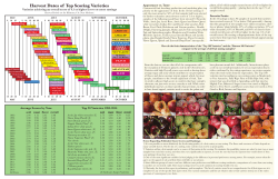 Fruit Tasting Report 2014 pages 6-8