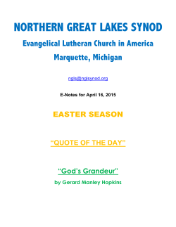 northern great lakes synod
