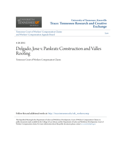 Delgado, Jose v. Pankratz Construction and Valles Roofing
