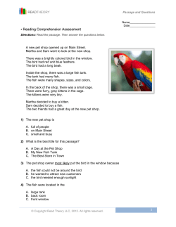 Reading Comprehension Assessment