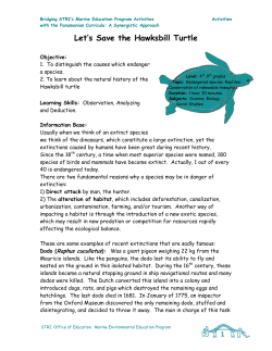 Let`s Save the Hawksbill Turtle