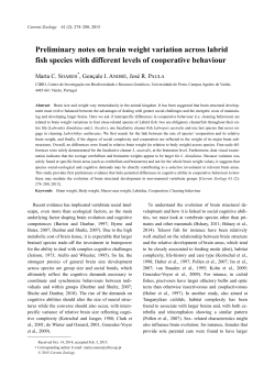 Preliminary notes on brain weight variation across labrid fish