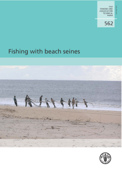 Fishing with beach seines - Food and Agriculture Organization of the