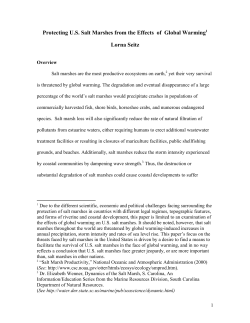 Protecting U.S. Salt Marshes from the Effects of Global Warming1