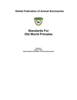 Standards For Old World Primates