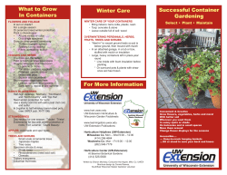For More Information Winter Care Successful Container Gardening