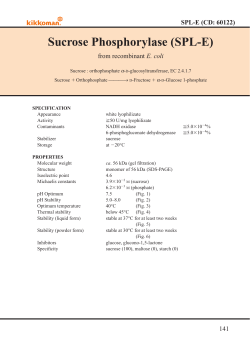 Sucrose Phosphorylase (SPL-E)