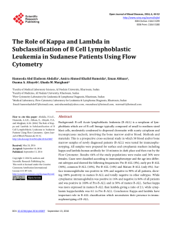 The Role of Kappa and Lambda in Subclassification of B Cell