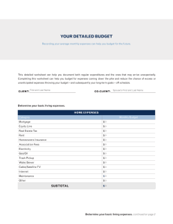 Your DetaileD BuDget - Andesa Financial Management