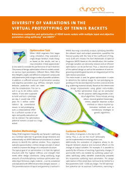 diversity of variations in the virtual prototyping of tennis rackets