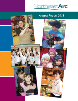 Annual Report 2013
