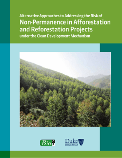 Non-Permanence in Afforestation and Reforestation Projects