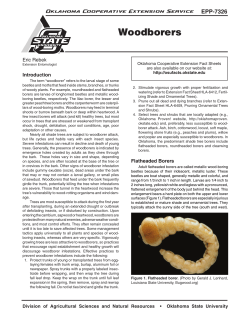 EPP-7326 Woodborers - OSU Fact Sheets