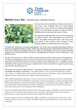Matcha Green Tea: scientific name