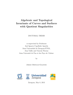 Algebraic and Topological Invariants of Curves and
