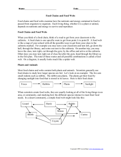 food chains and food webs