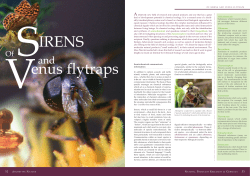 Of sirens and venus flytraps - Naturstoff