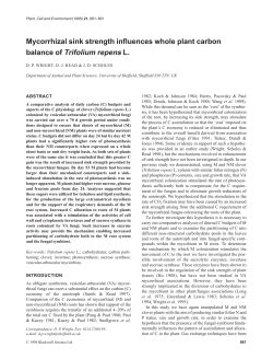 Mycorrhizal sink strength influences whole plant carbon balance of