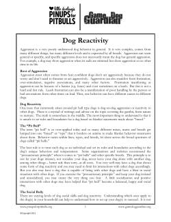 Dog Reactivity - Pinups for Pitbulls