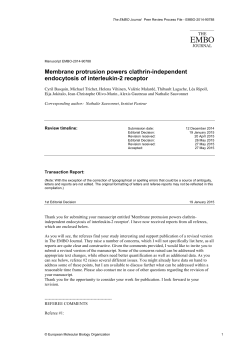 Membrane protrusion powers clathrin