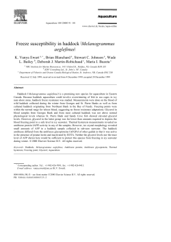 ž Freeze susceptibility in haddock Melanogrammus / aeglefinus