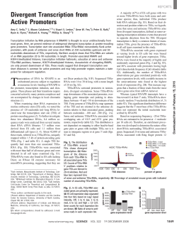 Divergent Transcription from Active Promoters