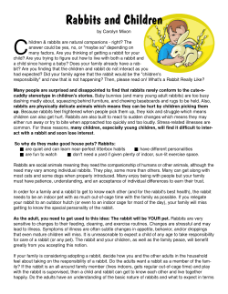 Rabbits and Children