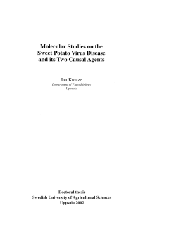 Style specifications - Epsilon Open Archive